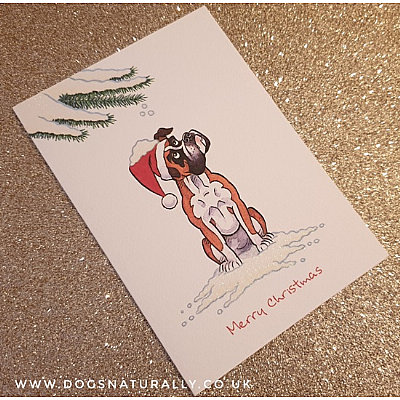 Boxer Christmas Card (Flitter Range)